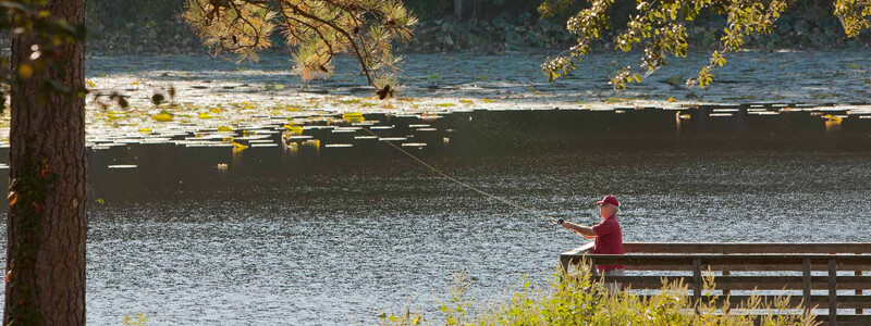 Houston Area State Parks