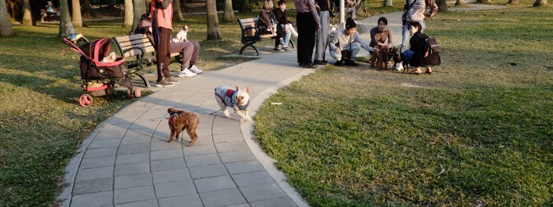 Dog Parks in Houston