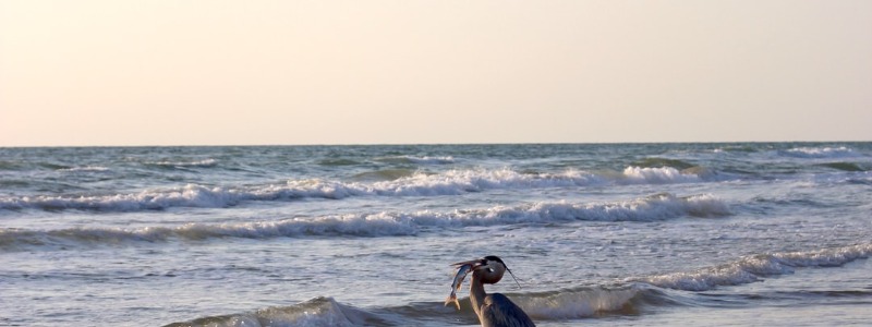 South Padre Island