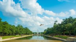 Hermann Park Houston Attractions