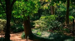 Edith L Moore Nature Sanctuary