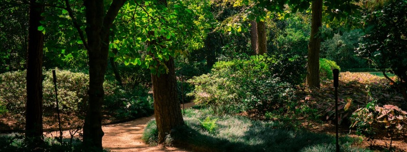 EDITH L MOORE NATURE SANCTUARY